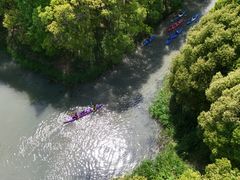-动邦皮划艇·桨板·独木舟·团建户外运动俱乐部