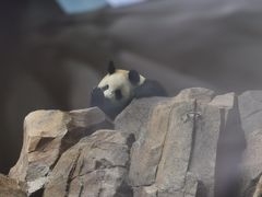 -宁波野生动物园