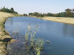 -无锡新湖铂尔曼大酒店