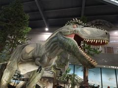 -湖南省地质博物馆