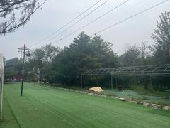 -尚庄度假村·庭台树下·户外烧烤·团建CS·轰趴营地(上庄水库店)