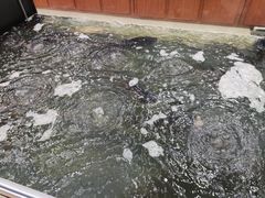 -雪野鱼头大王邢府公老店(雪野湖店)