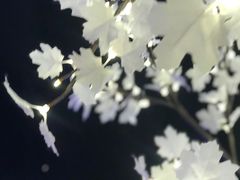 -海云台海滩