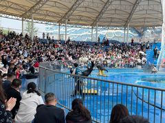 -华夏文旅海洋公园