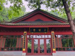 -杭州西湖风景名胜区-三生石