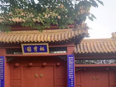 -桃花堤公园