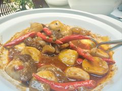 -院里寻菜·精致庭院菜(观沙岭店)