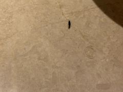 -海纳百川(义乌店)