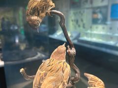 -天津自然博物馆
