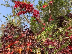 -天津盘山风景名胜区