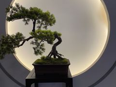 -席仁堂推拿按摩脊柱调理(世纪科贸大厦店)