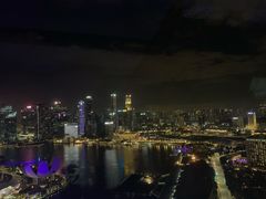 -新加坡摩天观景轮
