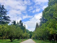 -花溪公园