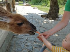 -西安秦岭野生动物园