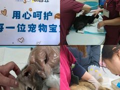-纳吉亚猫专科动物医院博雅分院