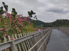 -福道