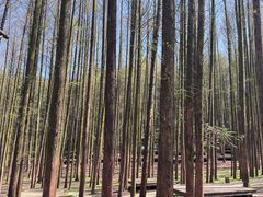 -山王坪喀斯特国家生态公园