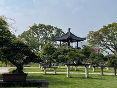-江心屿景区