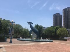 -海合安武汉极地海洋公园