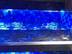 -奢谷·海鲜自助(南海万科店)