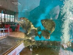 -沙头涌渔栏海鲜餐厅