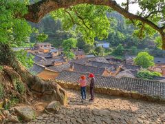 -杨家堂村