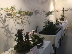 -杭州植物园