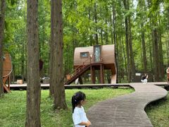 -黄海国家森林公园