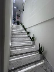 -海涛医疗美容·面部抗衰·注射美鼻