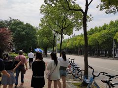 -上海浦东星河湾酒店