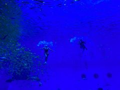 -常州海昌海洋探索馆