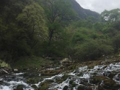 -叠溪松坪沟景区