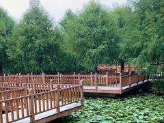 -五缘湾湿地公园