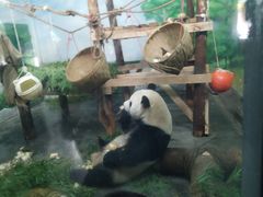 -无锡动物园·太湖欢乐园