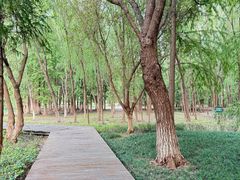 -长广溪湿地公园
