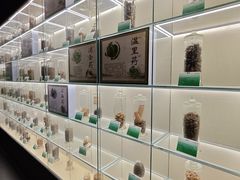-广东中医药博物馆