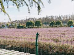 -嘉北郊野公园