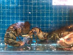 -大城·烧烤海鲜大排档(台东店)