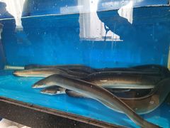 -华盛丰温州大排档(东三环南路店)