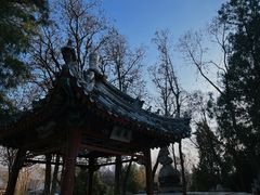 -莲池书院博物馆