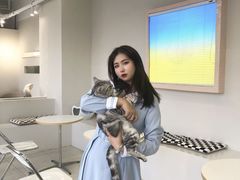 -怪兽屋·羊驼·猫咖·狗咖(俊华广场店)