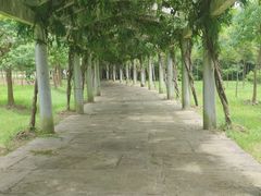 -上海海湾国家森林公园