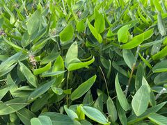 -东钱湖旅游度假区