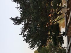 -花溪公园