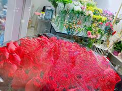 -花未央花店·WEYOUNG