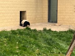 -石家庄市动物园