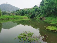 -东部华侨城