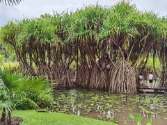 -中国科学院西双版纳热带植物园