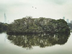 -海珠湖公园