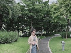 -宝安西湾红树林湿地公园